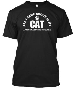 All I Care About Is My Cat And 3 People Shirt