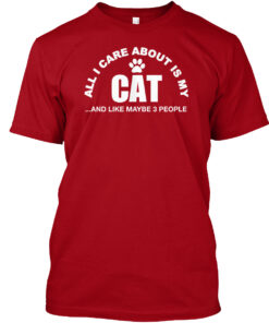 All I Care About Is My Cat And 3 People Shirt