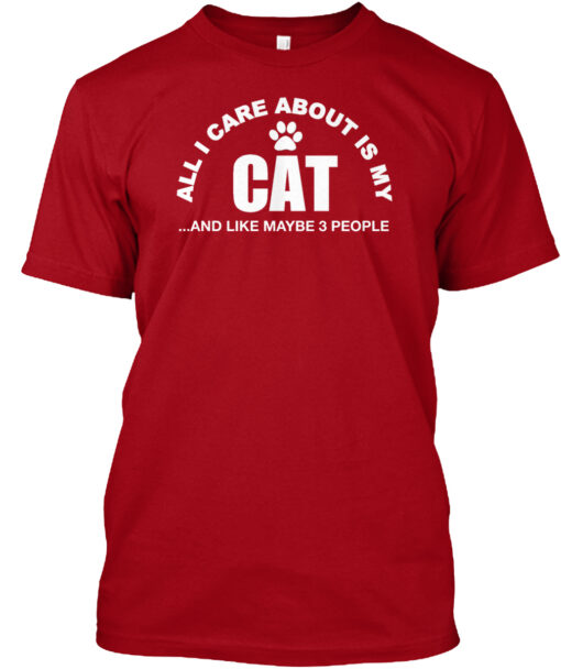 All I Care About Is My Cat And 3 People Shirt